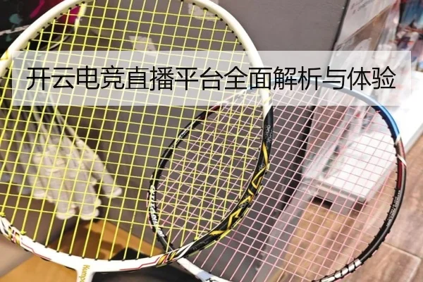 开云电竞直播平台全面解析与体验